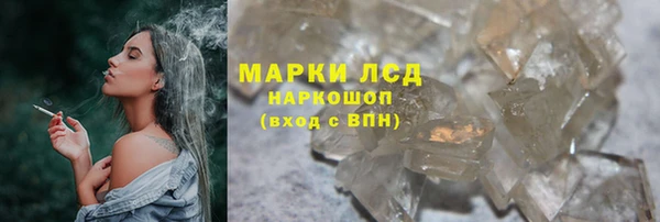 гидра Корсаков