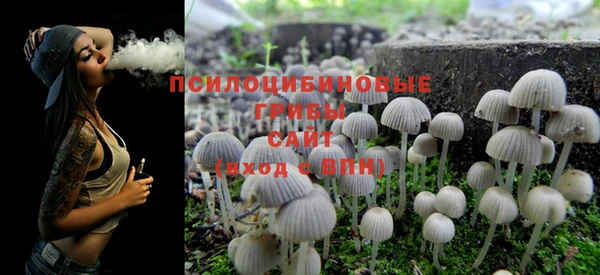 ПСИЛОЦИБИНОВЫЕ ГРИБЫ Куйбышев