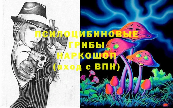 spice Ладушкин