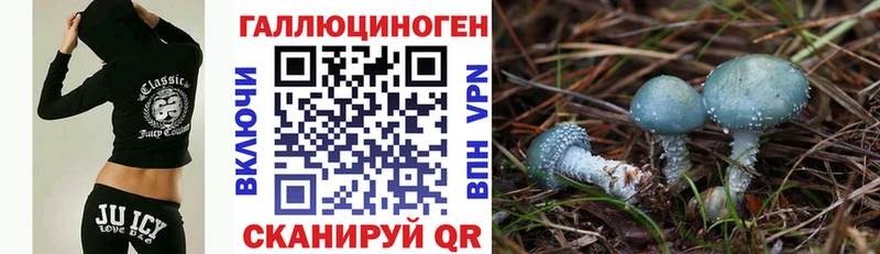 блэк спрут tor  Лабинск  Псилоцибиновые грибы мухоморы 
