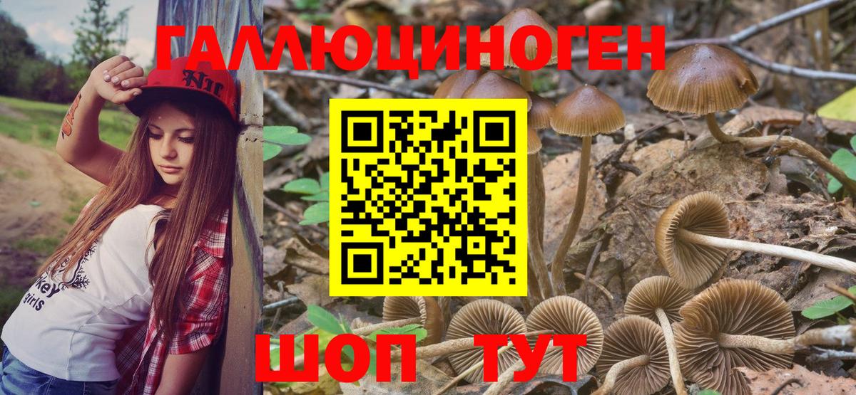 ГАШИШ  Cocaine  Бошки Шишки  ГАШ  Лабинск  Alpha PVP СК кристаллы  Вход с VPN  Меф МЯУ МЯУ  