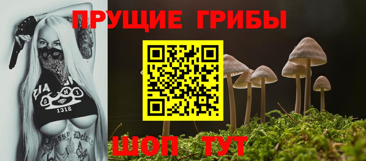 Галлюциногенные грибы мухоморы Лабинск